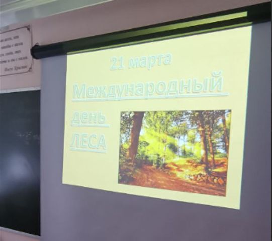 Международный день леса.
